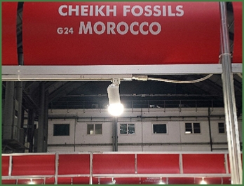 www.cheikhfossilsmorocco.com