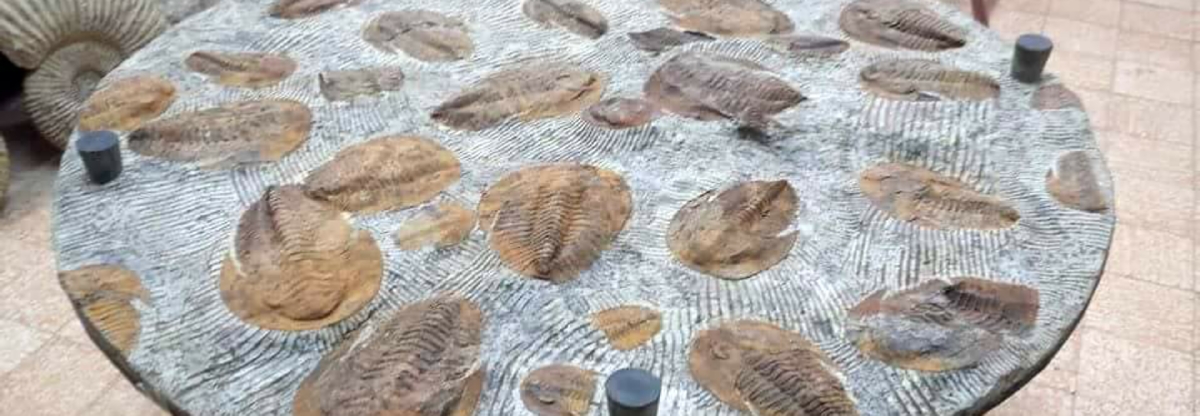 Cheikh Fossils Morocco