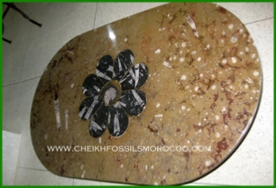 www.cheikhfossilsmorocco.com