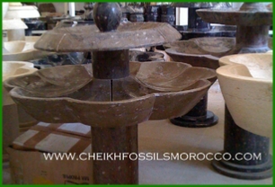 www.cheikhfossilsmorocco.com