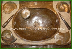 www.cheikhfossilsmorocco.com