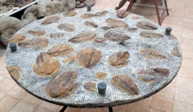 Cheikh Fossils Morocco