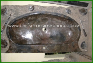 www.cheikhfossilsmorocco.com