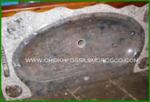 www.cheikhfossilsmorocco.com