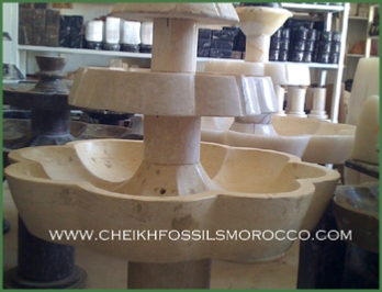 www.cheikhfossilsmorocco.com