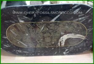 www.cheikhfossilsmorocco.com