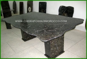 www.cheikhfossilsmorocco.com